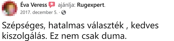 Ügyfél vélemény 17